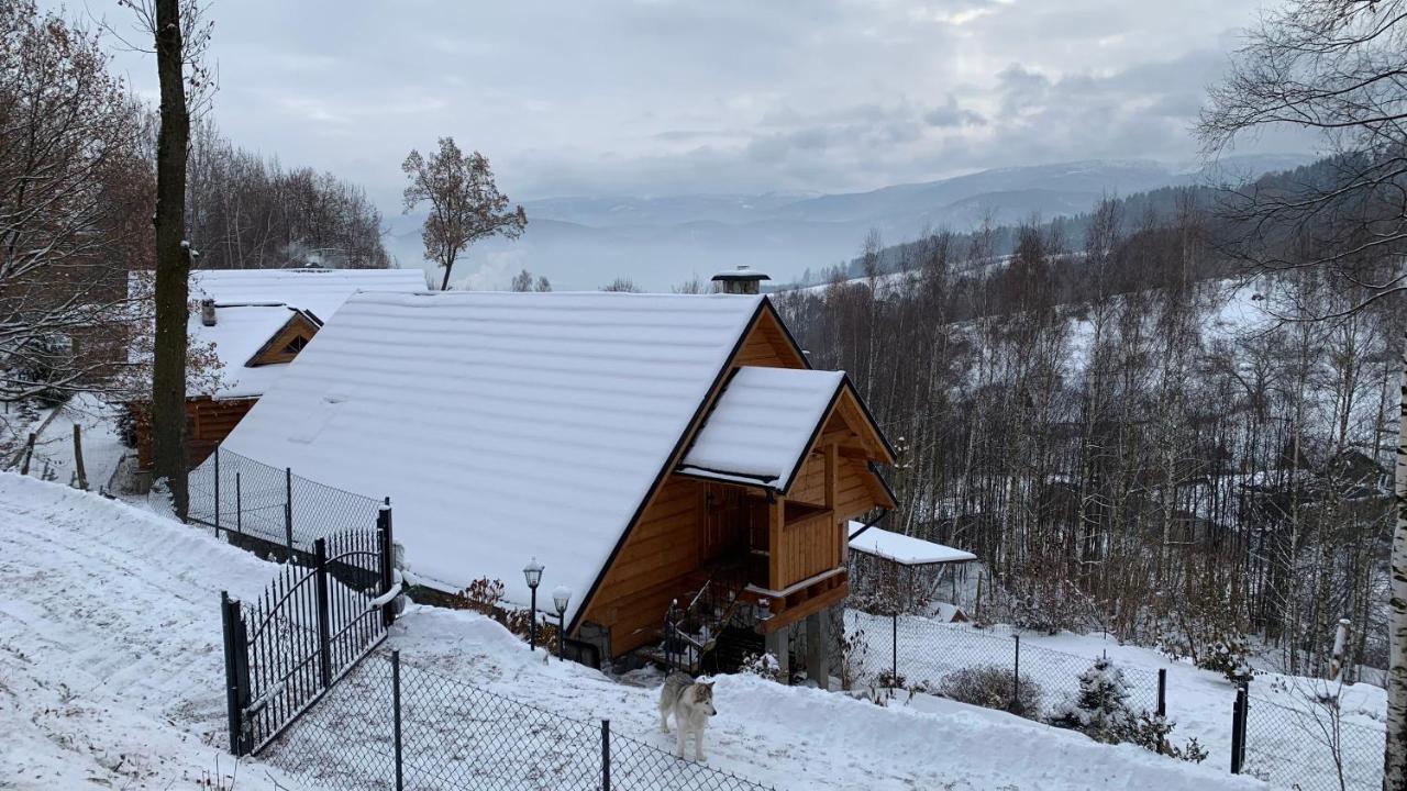 Apartament Hakerowka Шклярска Поремба Екстериор снимка
