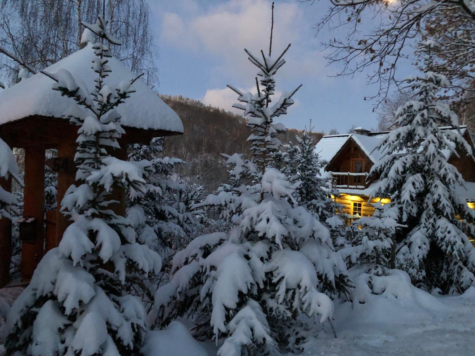 Apartament Hakerowka Шклярска Поремба Екстериор снимка